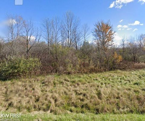 0 Van Vleet Road Gaines Township MI 48436