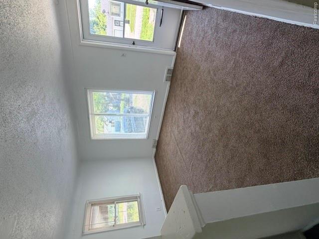 4701 Birchcrest Drive