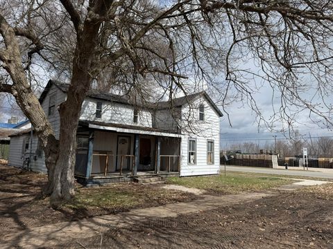 115 E 4th Street Evart City MI 49631