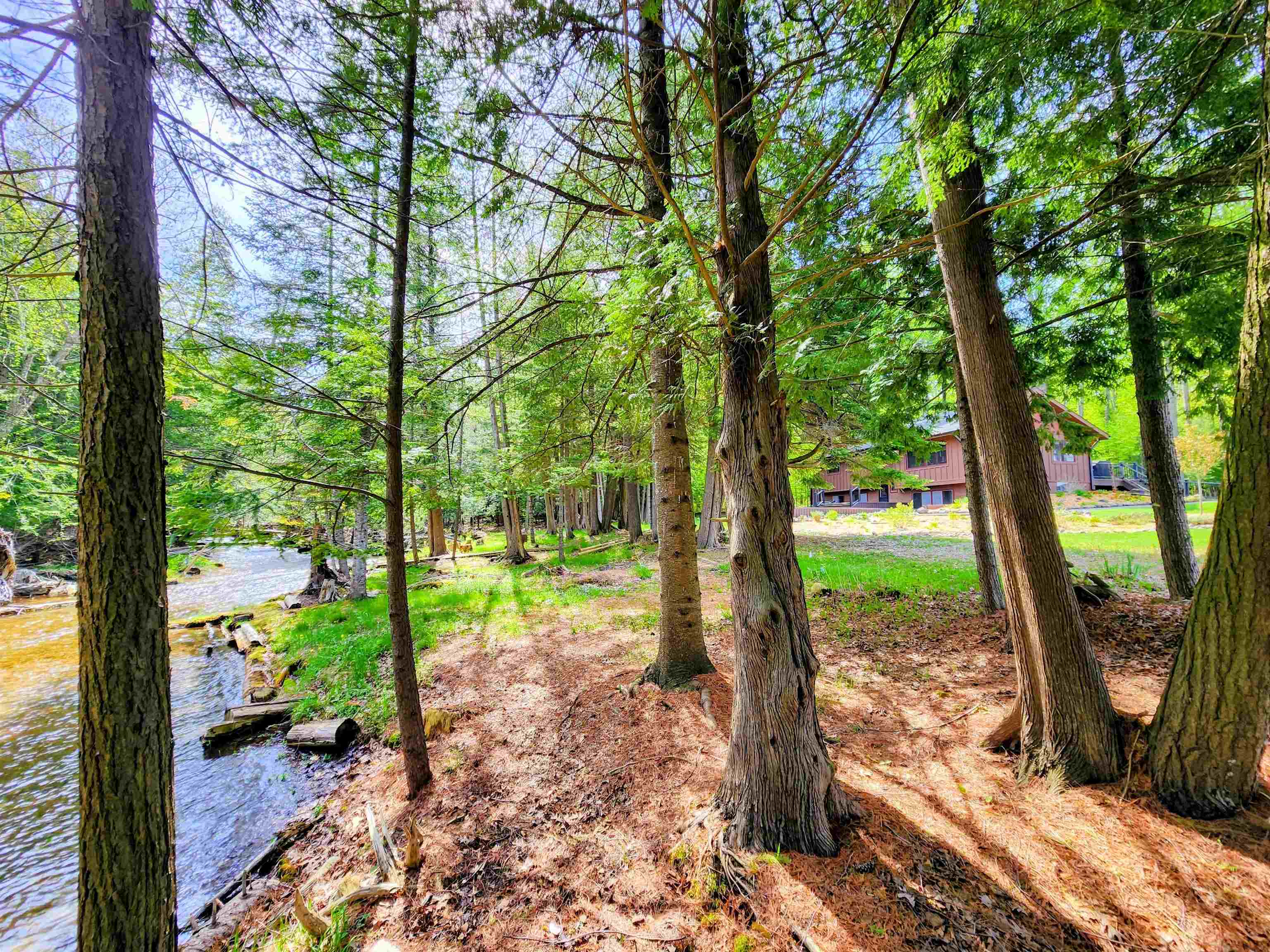 6075 Cedar River Road