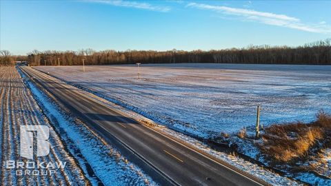 VL W Birch Run Road Albee Township MI 48417