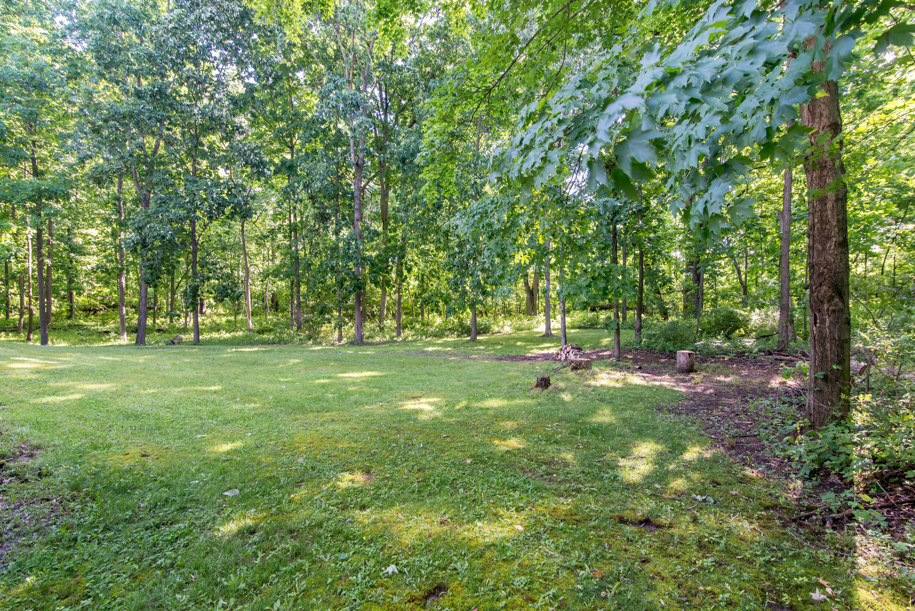 10090 King Hill Court