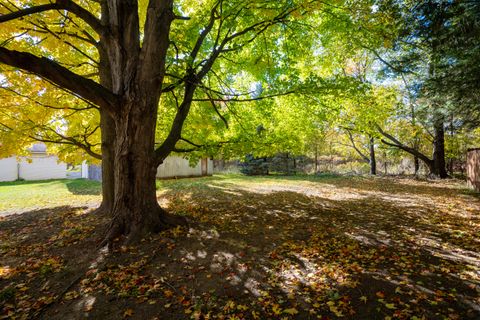 Tiny photo for 1981 52nd Street SW, Wyoming City, MI 49519 (MLS # 66025056636)