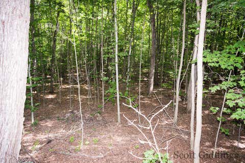 Tiny photo for 3750 N Hillman Road, Douglass Township, MI 48850 (MLS # 65026044092)