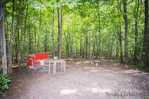 Tiny photo for 3750 N Hillman Road, Douglass Township, MI 48850 (MLS # 65026044092)