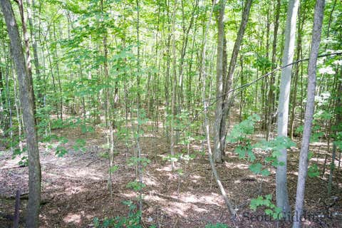 Tiny photo for 3750 N Hillman Road, Douglass Township, MI 48850 (MLS # 65026044092)