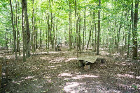 Tiny photo for 3750 N Hillman Road, Douglass Township, MI 48850 (MLS # 65026044092)