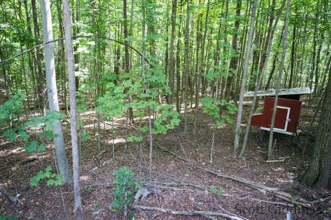 Tiny photo for 3750 N Hillman Road, Douglass Township, MI 48850 (MLS # 65026044092)
