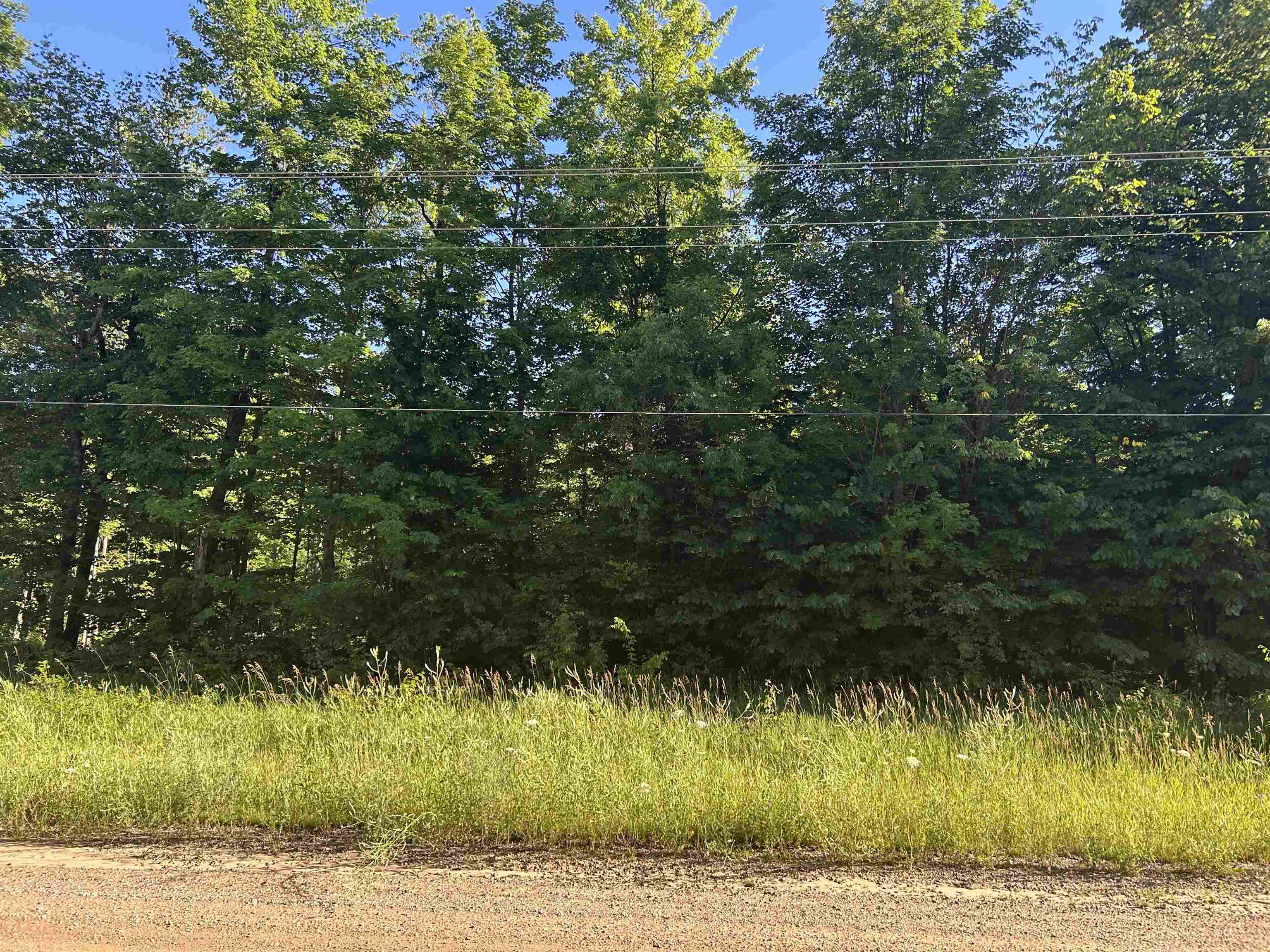 Lots 56 & 57 NE Covert Road