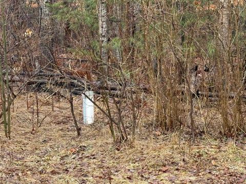 Tiny photo for 8211 W Moorestown Road, Bloomfield Township, MI 49663 (MLS # 78080066580)