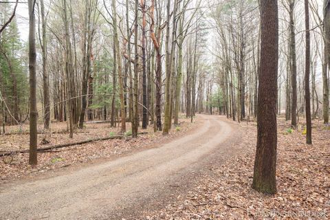 Tiny photo for 6264 140th Avenue, Laketown Township, MI 49423 (MLS # 71026013462)