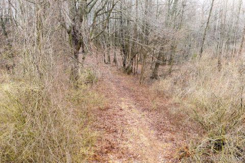 Tiny photo for 6264 140th Avenue, Laketown Township, MI 49423 (MLS # 71026013462)