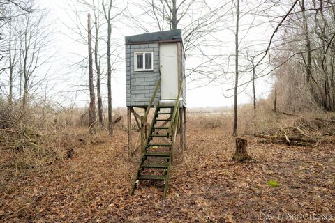 Tiny photo for 6264 140th Avenue, Laketown Township, MI 49423 (MLS # 71026013462)