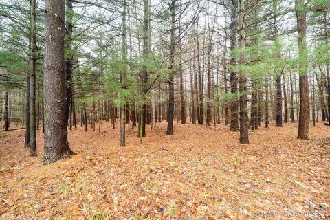 Tiny photo for 6264 140th Avenue, Laketown Township, MI 49423 (MLS # 71026013462)