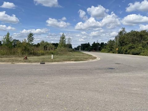 Vacant Land Grand River Avenue Handy Township MI 48836