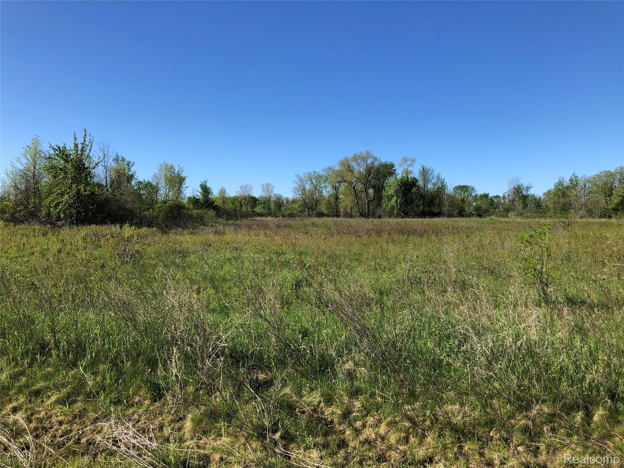 Parcel G IMLAY CITY Road