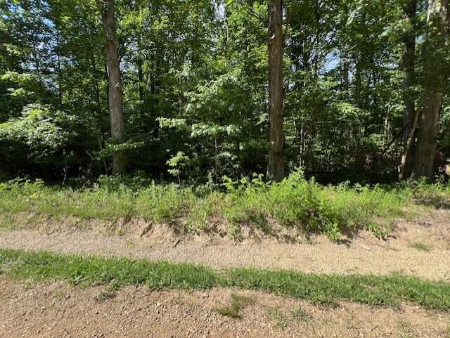 Chikaming Township, Michigan 49129, United States, ,Land,Active,171072