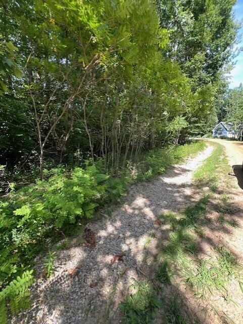 Chikaming Township, Michigan 49129, United States, ,Land,Active,171072