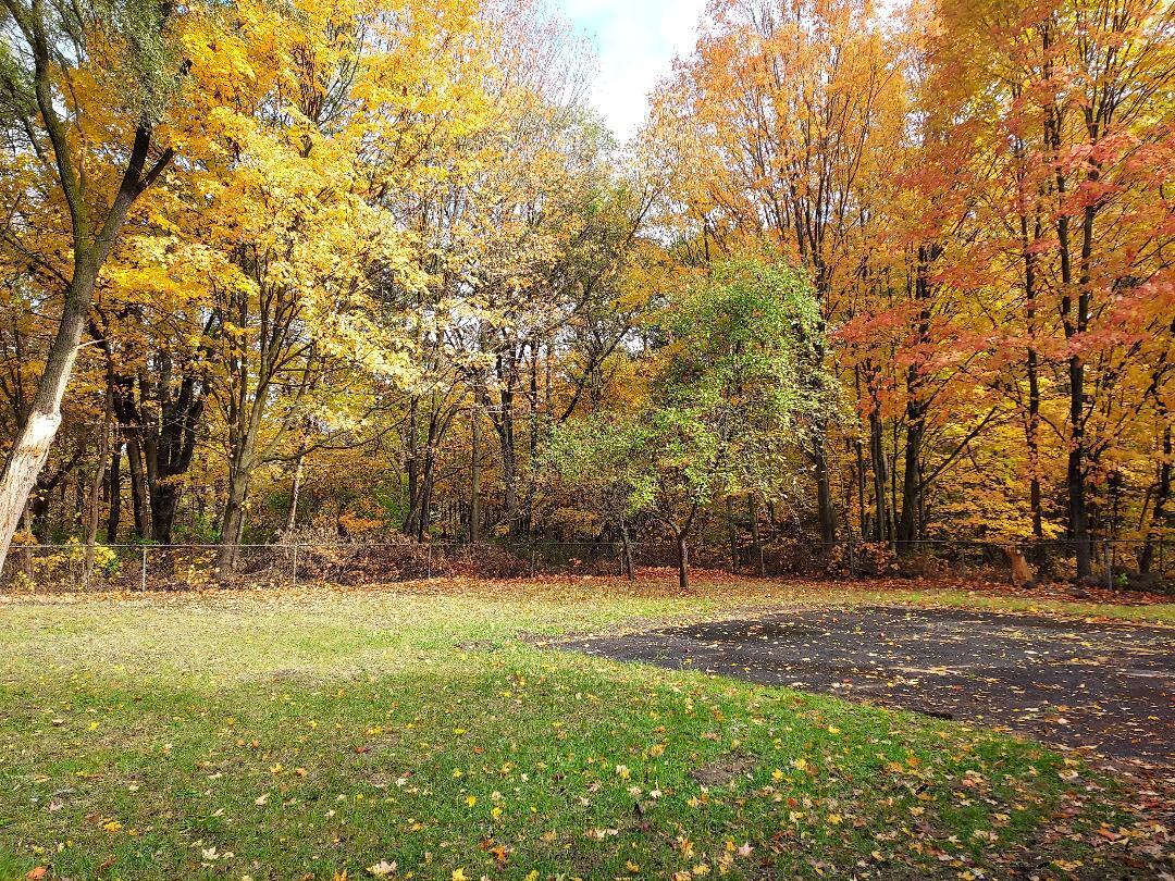 12134 Charles Street