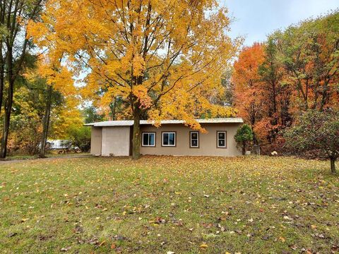 12134 Charles Street Colfax Township MI 49342