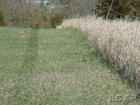 8000 Blk Parkhurst Hwy Woodstock Township MI 49220