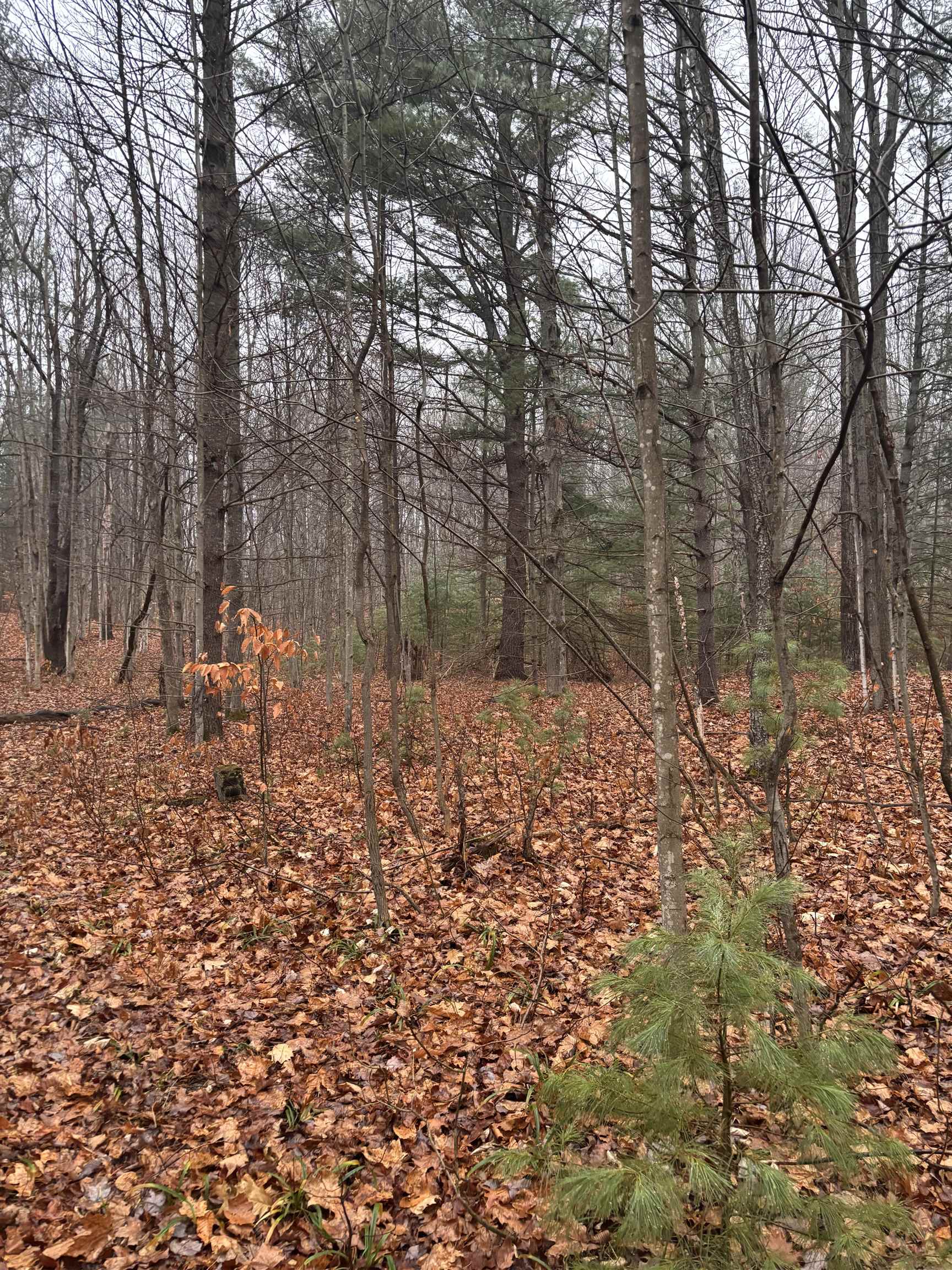 VL 23 Lake Louise Road