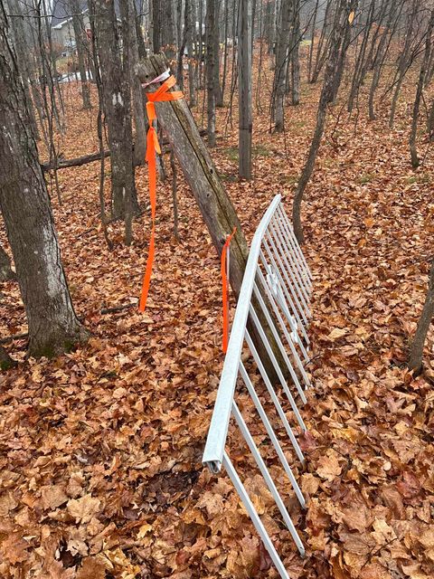 VL 23 Lake Louise Road Inland Township MI 49643