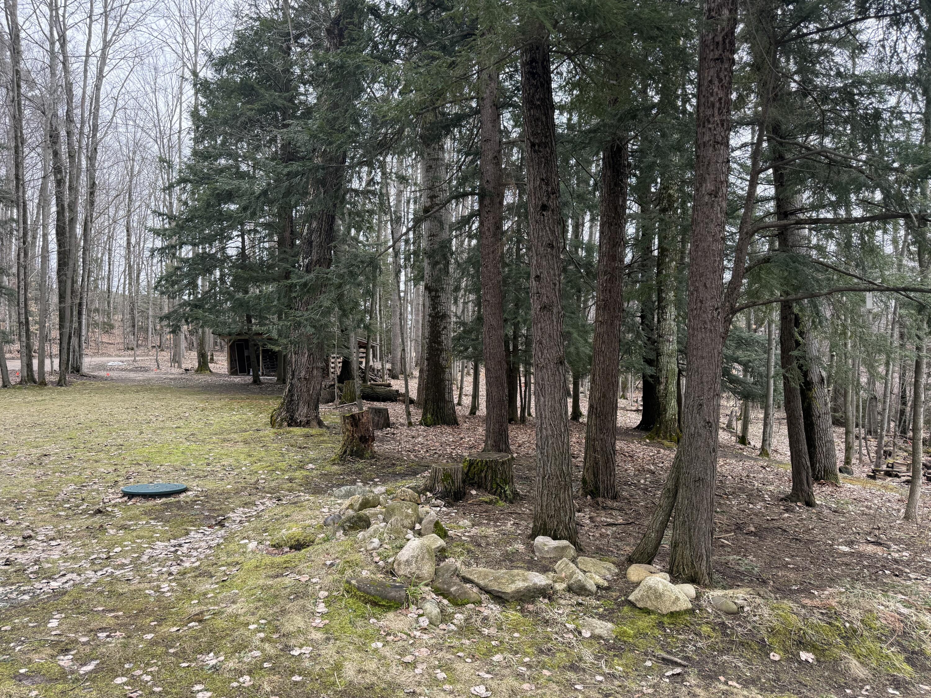 1075 Forest Ridge Trail