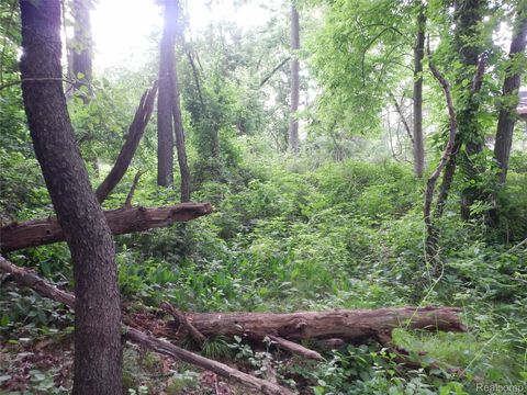 0000 Johnson Drive Lake Orion Village MI 48362