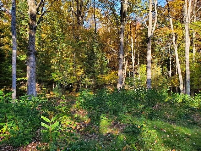 0 Scenic River Drive