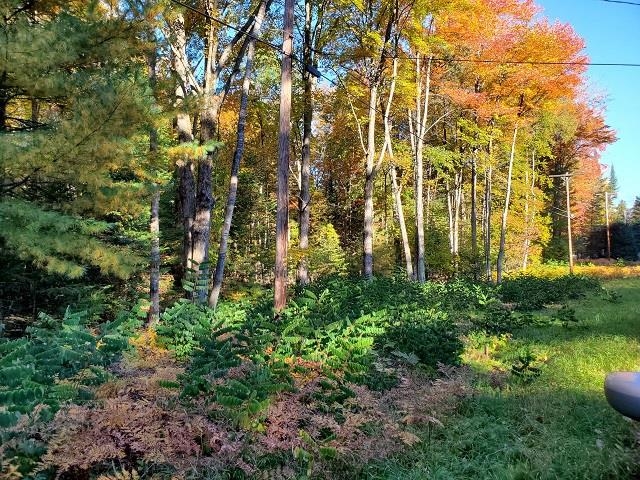 0 Scenic River Drive