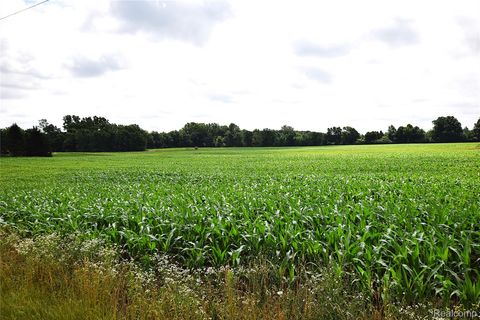 V/L N Irish Road Forest Township MI 48463