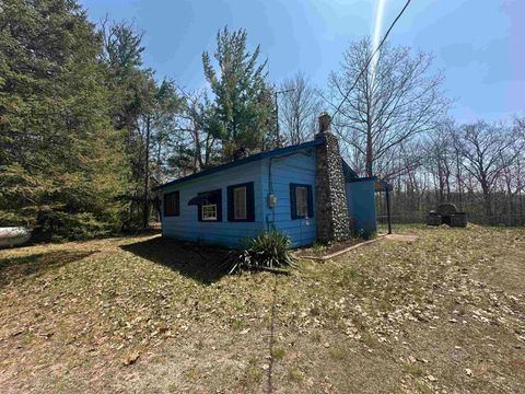 6551 Mattis Drive Curtis Township Alcona MI 48737