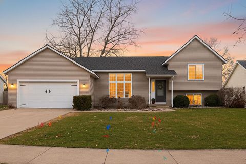 826 Meadow Drive Wayland City MI 49348