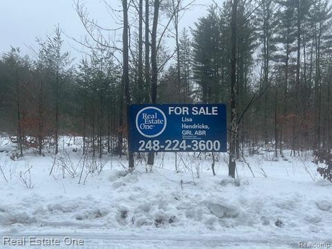 V/L 1 Mile Road Ellsworth Township MI 49655