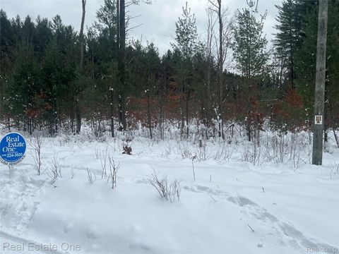 V/L 1 Mile Road Ellsworth Township MI 49655