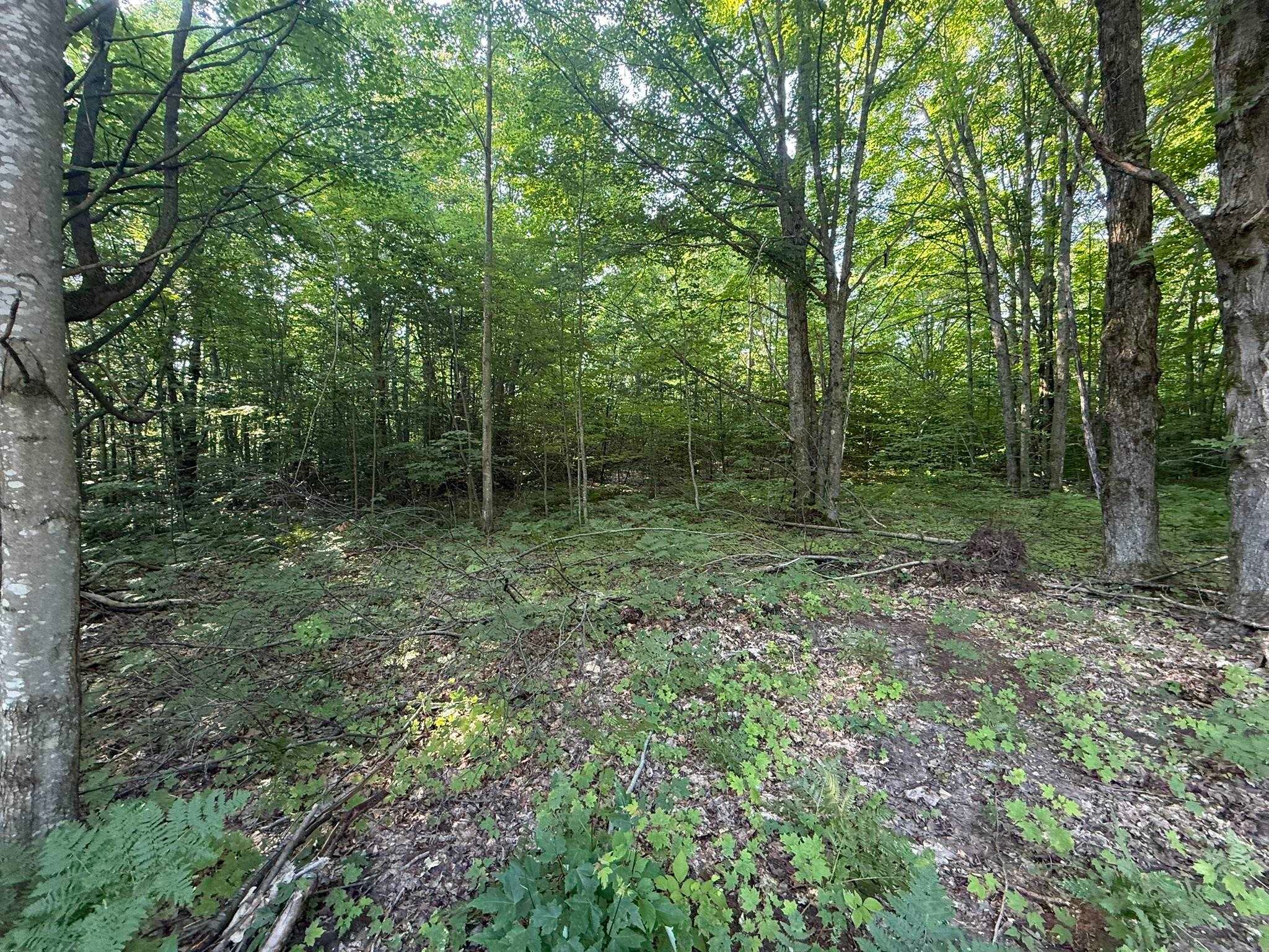 Lots 285 & 286 Acacia Drive