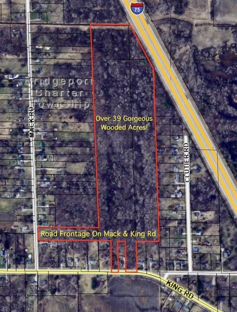 3600 King Road Bridgeport Charter Township MI 48601