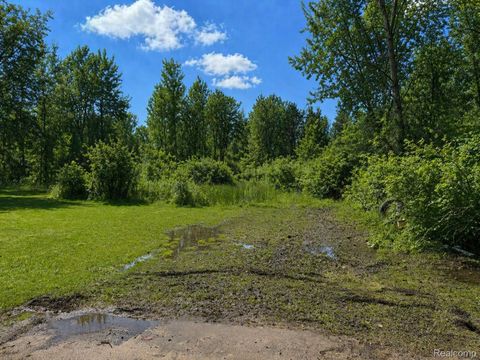 1223 Lexa Lane Mundy Township MI 48507