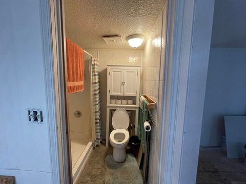 Tiny photo for 9628 Hamill Road, Forest Township, MI 48463 (MLS # 58050196394)