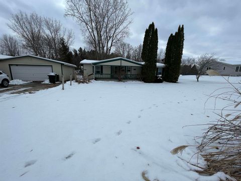 Photo of 9628 Hamill Road, Forest Township, MI 48463 (MLS # 58050196394)