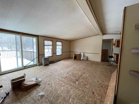 Tiny photo for 9628 Hamill Road, Forest Township, MI 48463 (MLS # 58050196394)