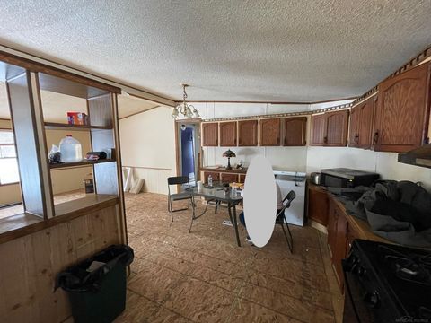 Tiny photo for 9628 Hamill Road, Forest Township, MI 48463 (MLS # 58050196394)