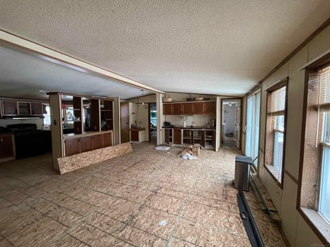 Tiny photo for 9628 Hamill Road, Forest Township, MI 48463 (MLS # 58050196394)