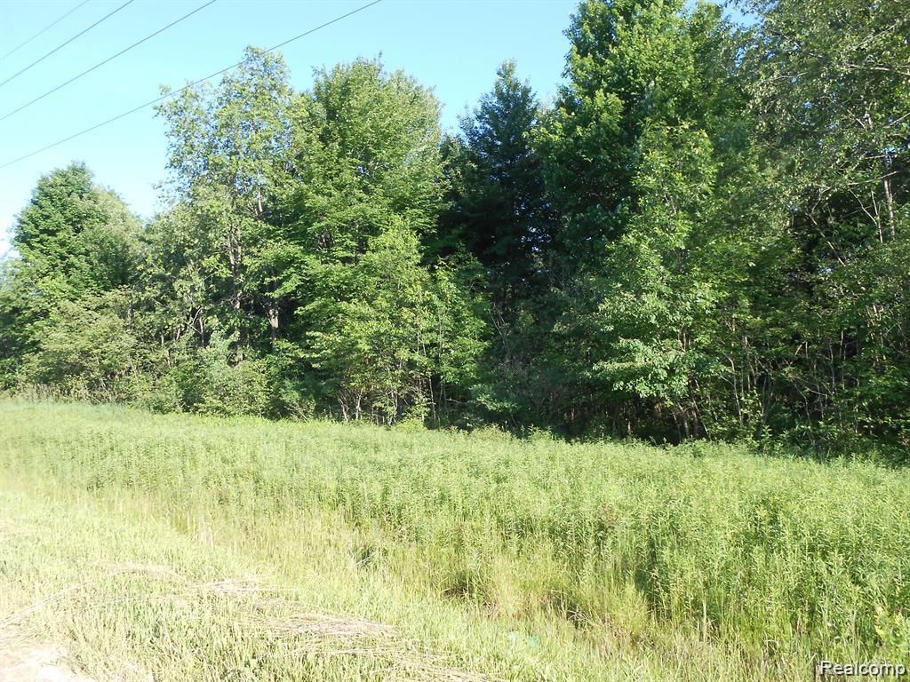 Photo of 00 Washington, Sanilac Township, MI 48419 (MLS # 20251036003)