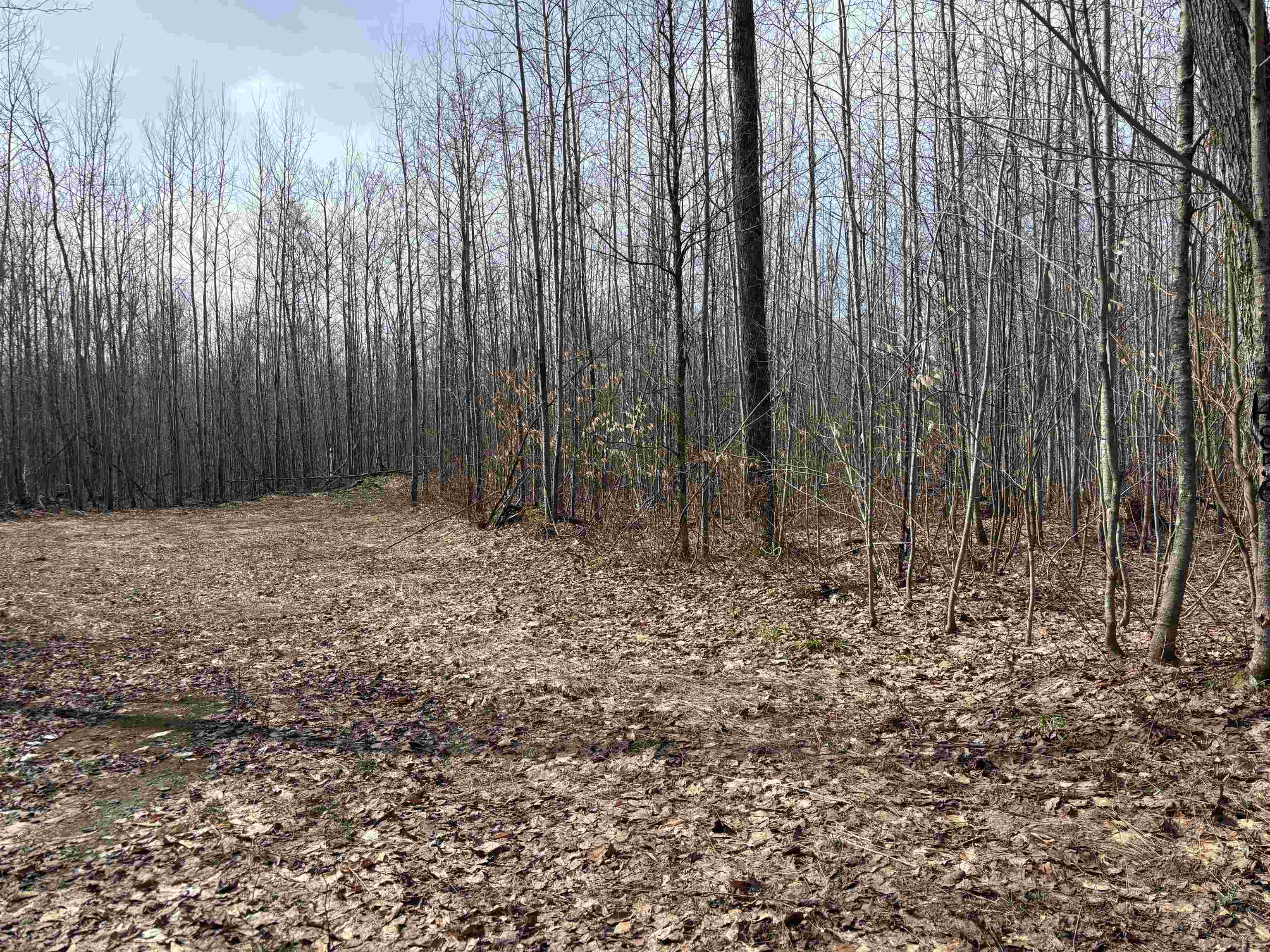 4856 Star Chief Trail