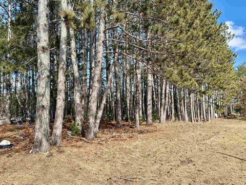 Tiny photo for 21238 Lakola Road, Burdell Township, MI 49688 (MLS # 78080066088)