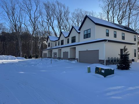 1968 S Shorewood Lane 14 Park Township MI 49423