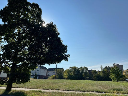 240 HENDRIE ST, DETROIT, MI 48202 - Image 8103d6b9f2c68baf3f2d19ed39651521/3414727898
