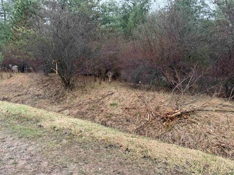 Lexington Avenue Butman Township MI 48624